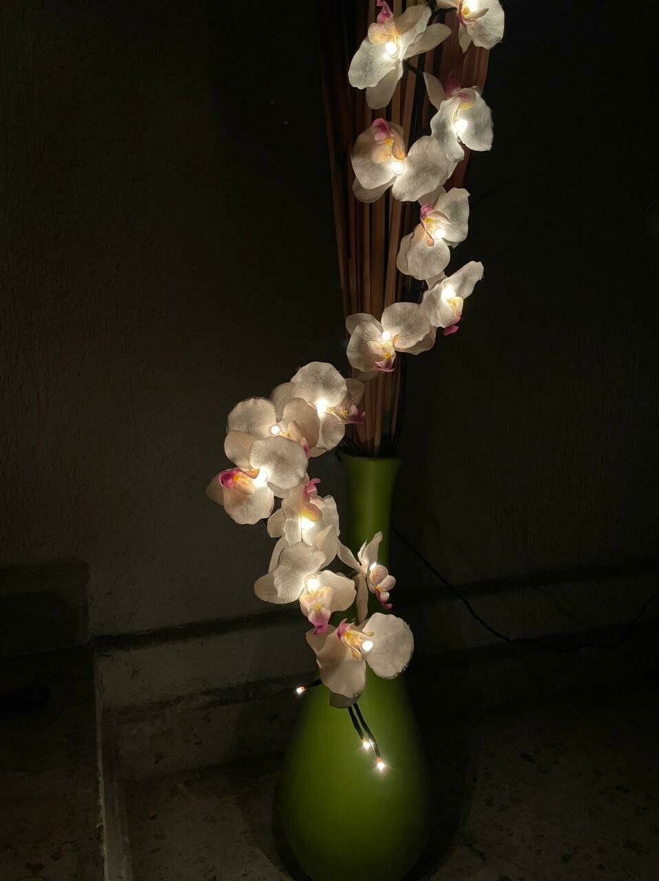 Orquídea con Luz