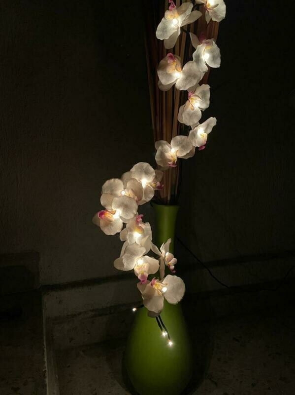 Orquídea con Luz