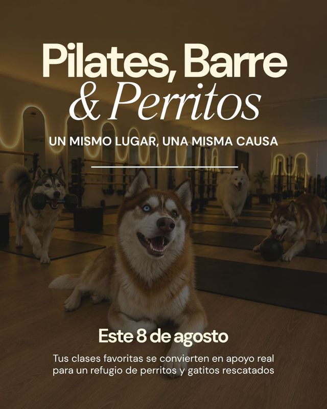 Dogminiquee Day
