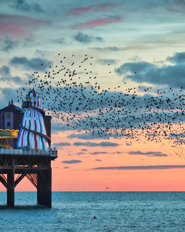 Brighton Palace Pier a4