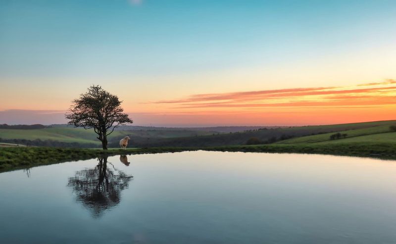 2026 Sussex Calender