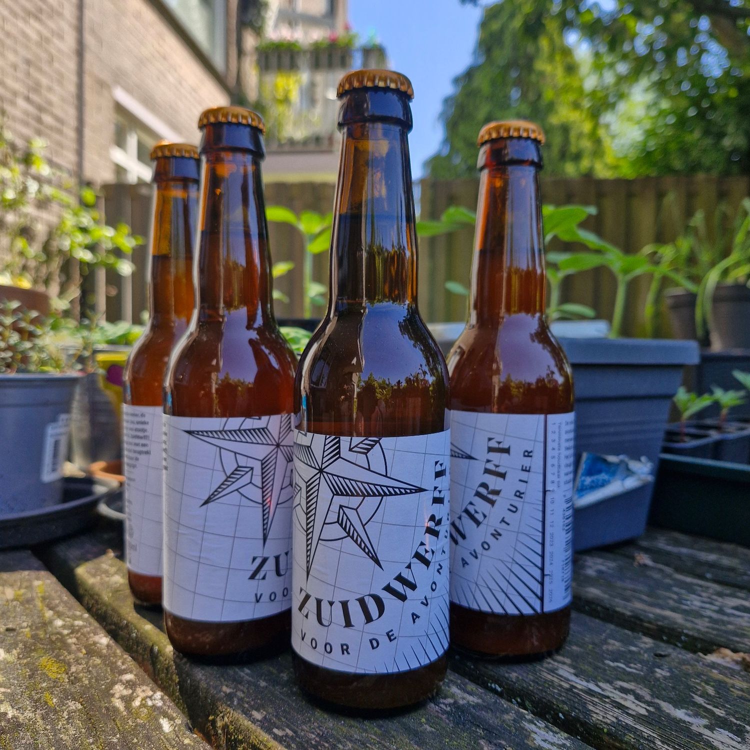 ZuidWerff Classic 6%