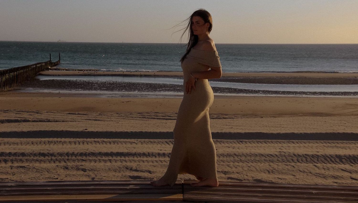 NALEYA DRESS