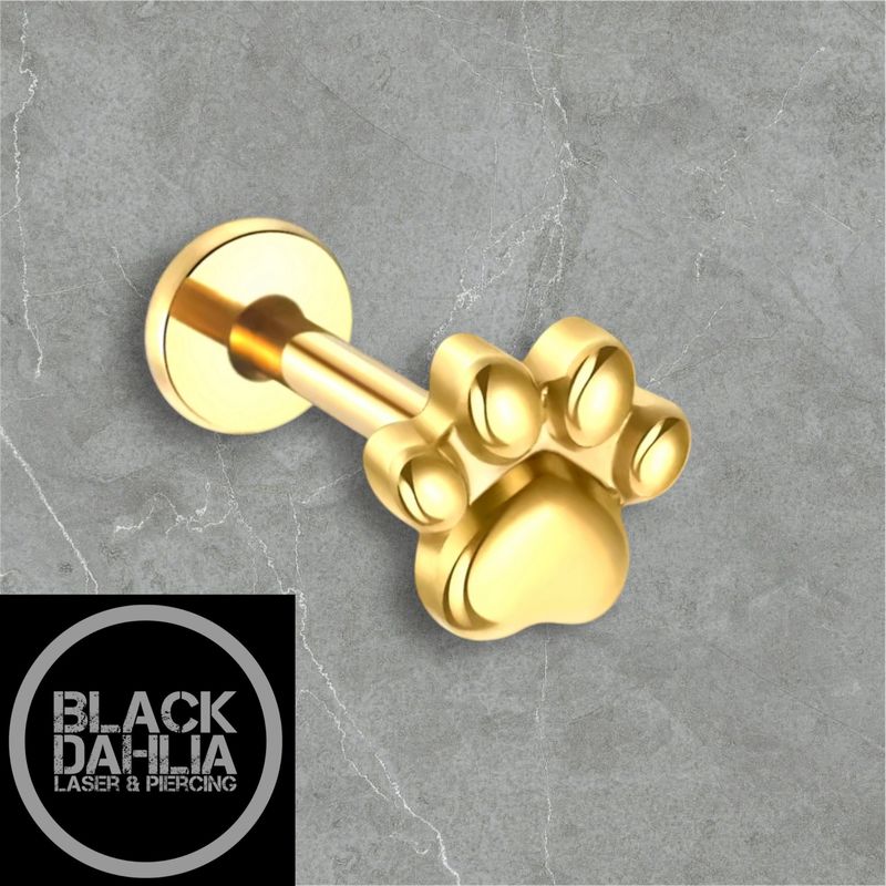 Gold Coloured Paw Print Internally Threaded Titanium Labret 16G