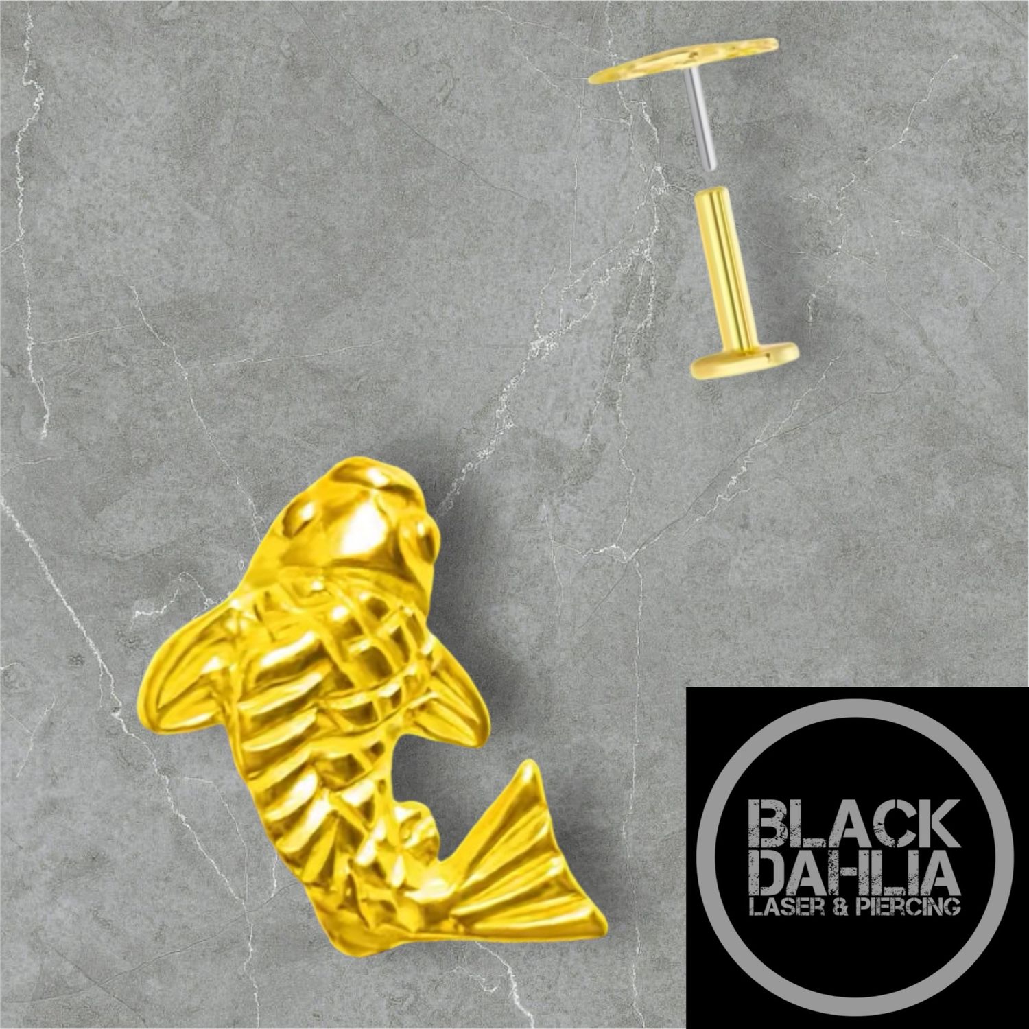 Gold Coloured Koi Threadless Titanium Labret 16G