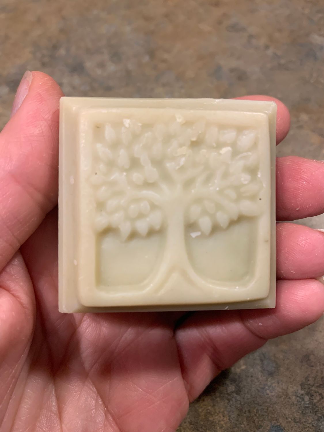 Tree of Life Guest Soap