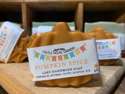Pumpkin Spice or Chai Spice