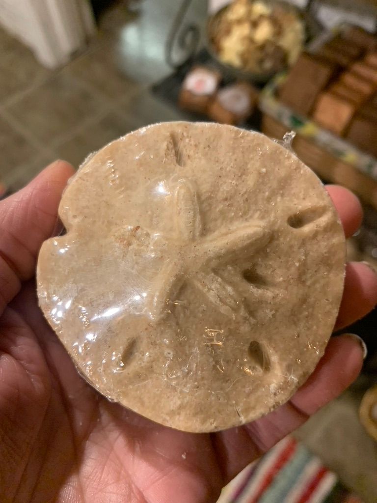 Sanddollar Salt Soaps