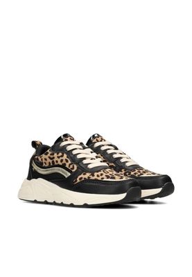 Poelman Sneaker BLACK GOLD C18582X7PSH20
