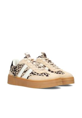 Poelman sneaker BEIGE C1152148APSH