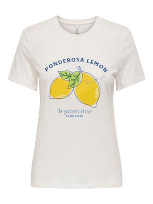 Only ONLCAMERON LIFE REG S/S TOP BOX CS : Cloud Dancer/Ponderose 15354526