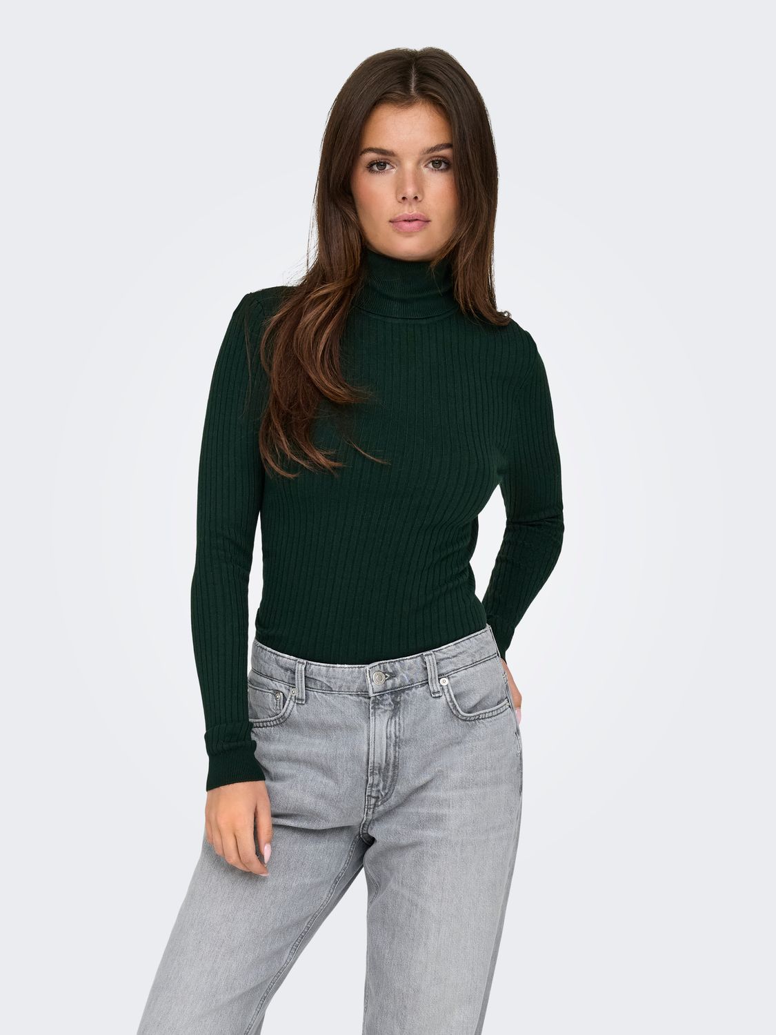 Only ONLKAROL L/S ROLLNECK PULLOVER KNT : Scarab 15165075
