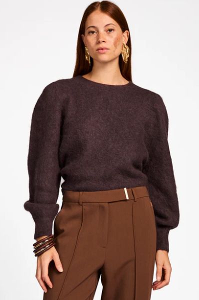 Aaiko DENIZE WP 389 PINECONE DENIZE WP 389