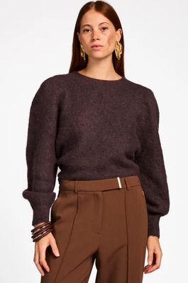 Aaiko DENIZE WP 389 PINECONE DENIZE WP 389