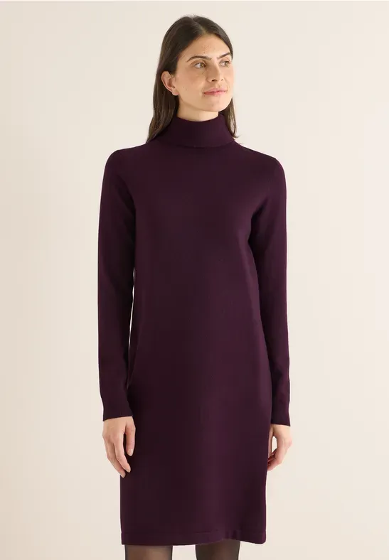 Cecil Cosy roll neck dress eggplant red B144692