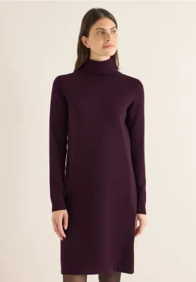 Cecil Cosy roll neck dress eggplant red B144692