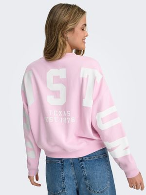 Only ONLSWEAT L/S BACK/SLEEVE PRINT SWT : Winsome Orchid/BIRCH HOUSTON P 1535679