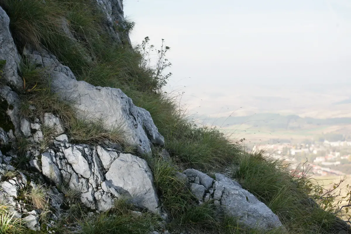 Sajtmanufaktúra látogatása 2 főre Ajándékkártya