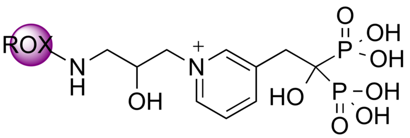 5(6)-ROX-RIS