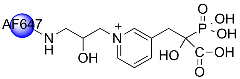 AF647-RISPC