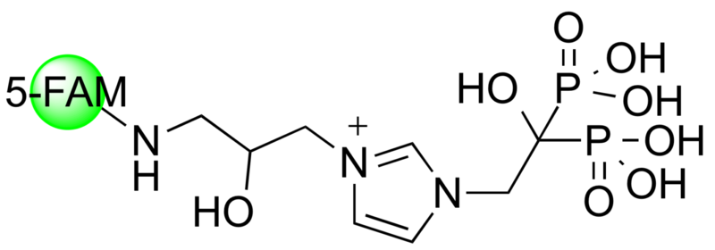5-FAM-ZOL