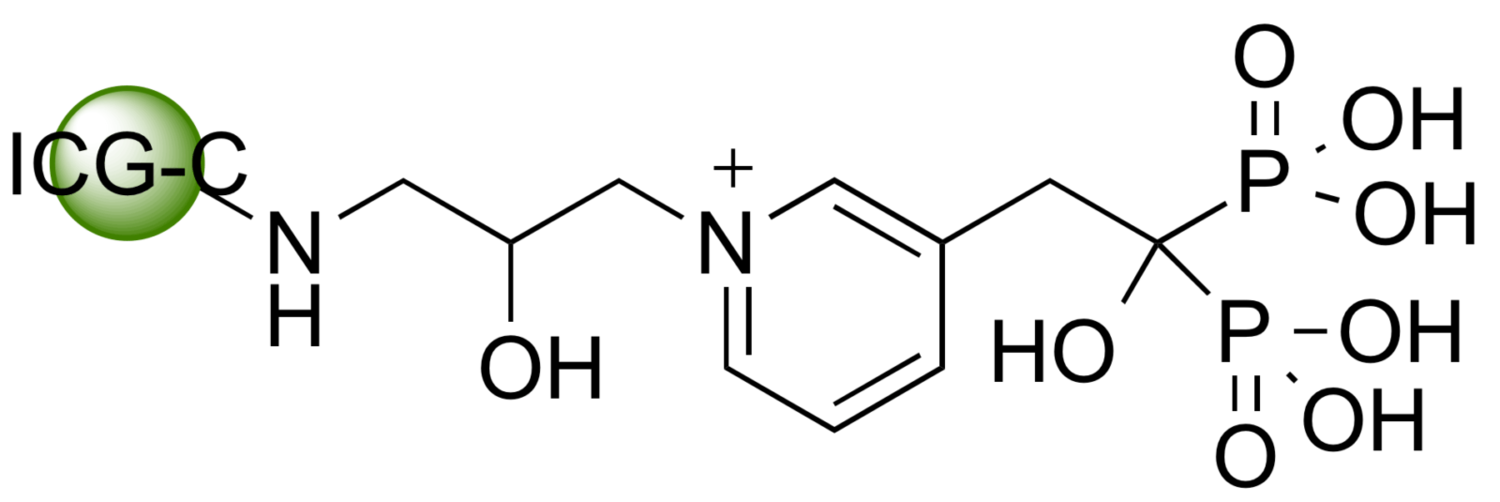 ICG-RIS-C