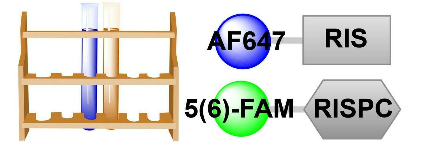 Two-Probe Bone Affinity Sampler