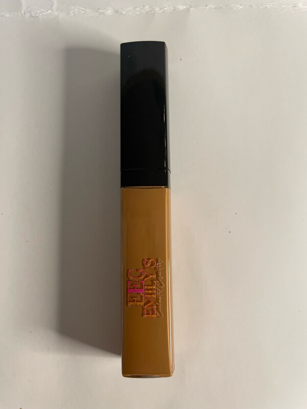 Concealers Shades Rich Chocolate #15