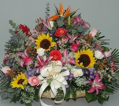 Wicker Baskets