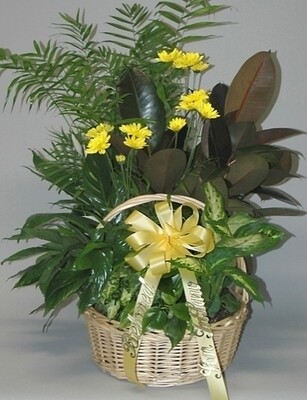 Planters