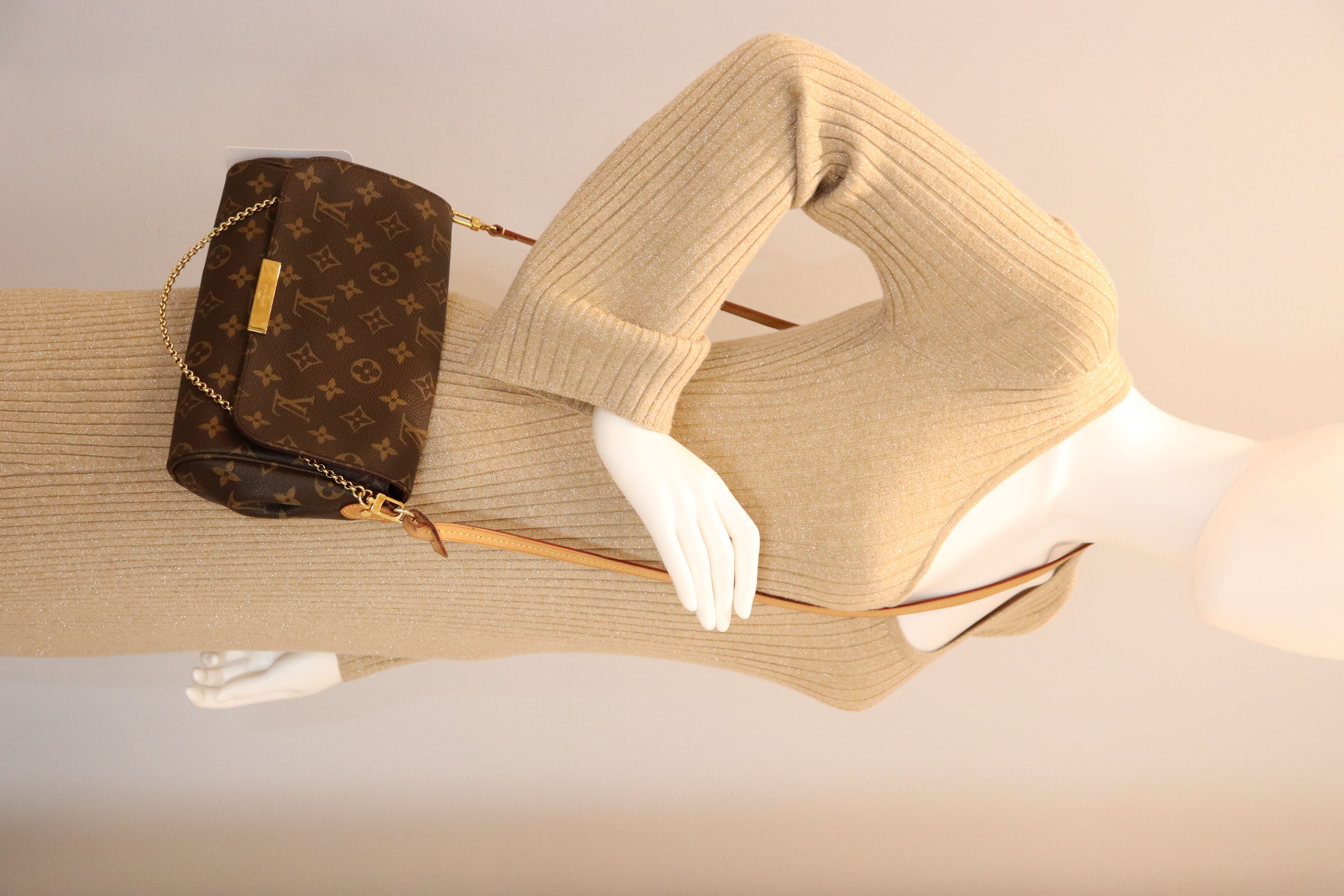 Louis Vuitton Monogram Favorite MM