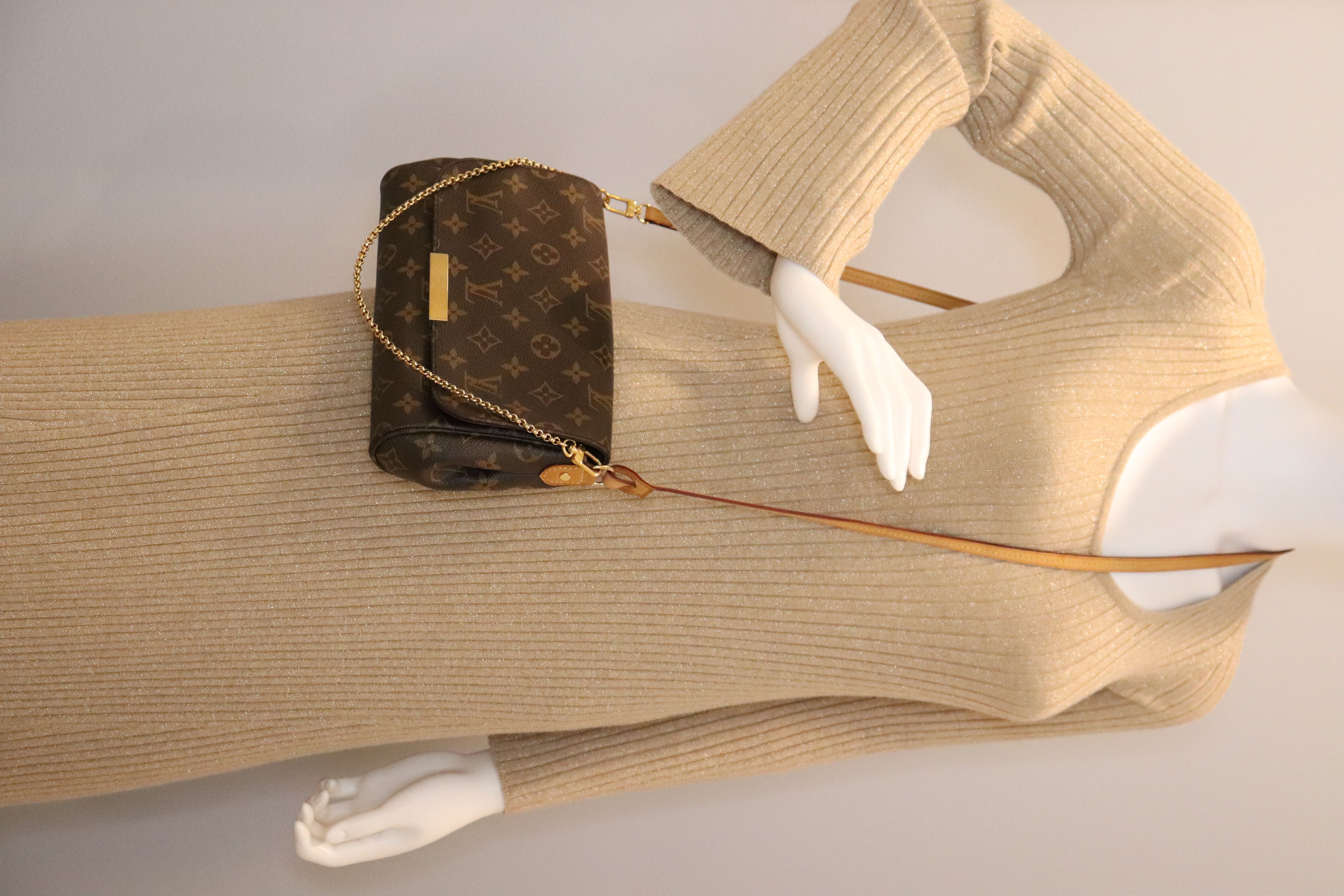 Louis Vuitton Monogram Favorite MM