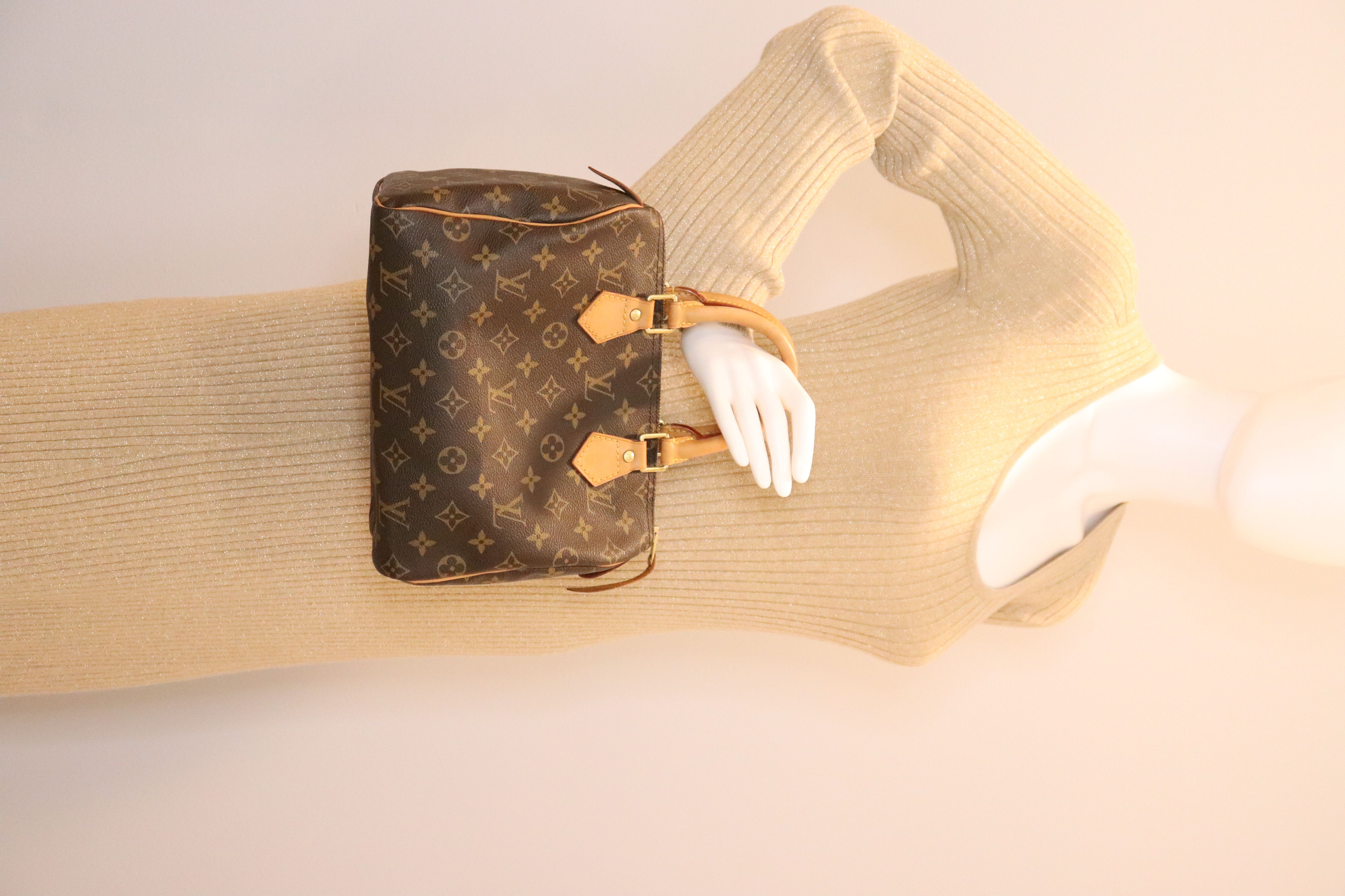 Louis Vuitton Speedy 25 Monogram