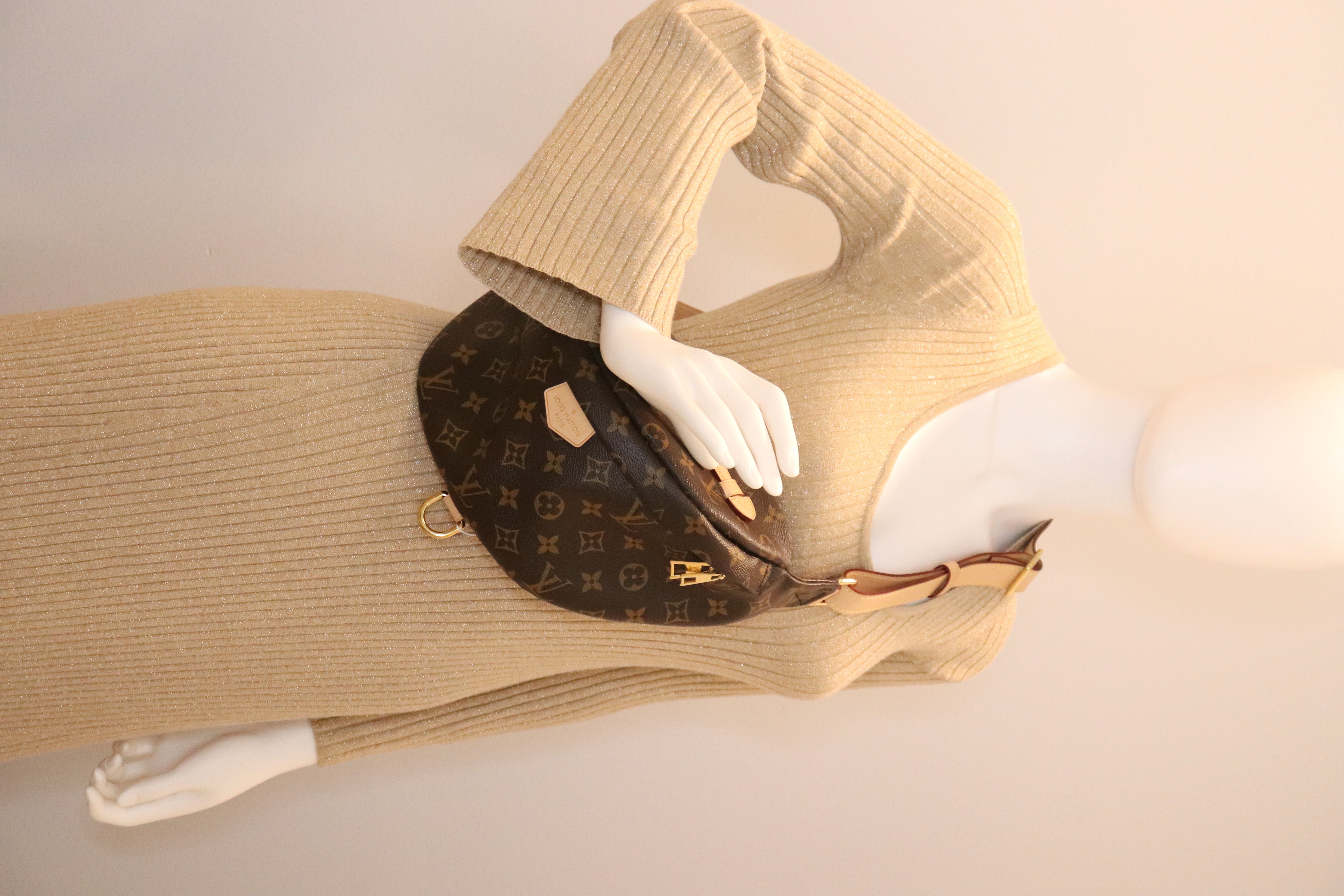Louis Vuitton Monogram Bumbag