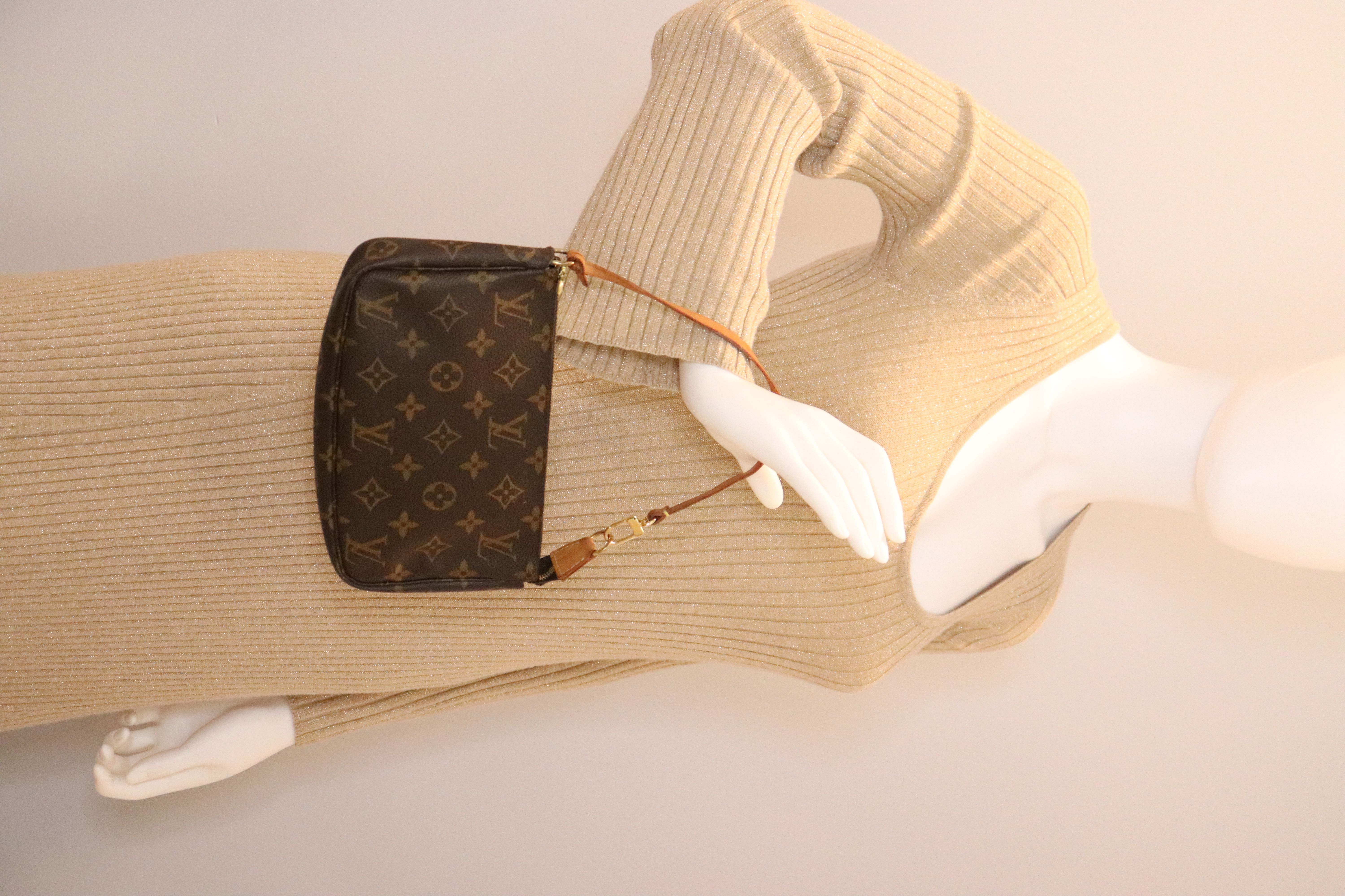 Louis Vuitton Monogram Pochette Accessories