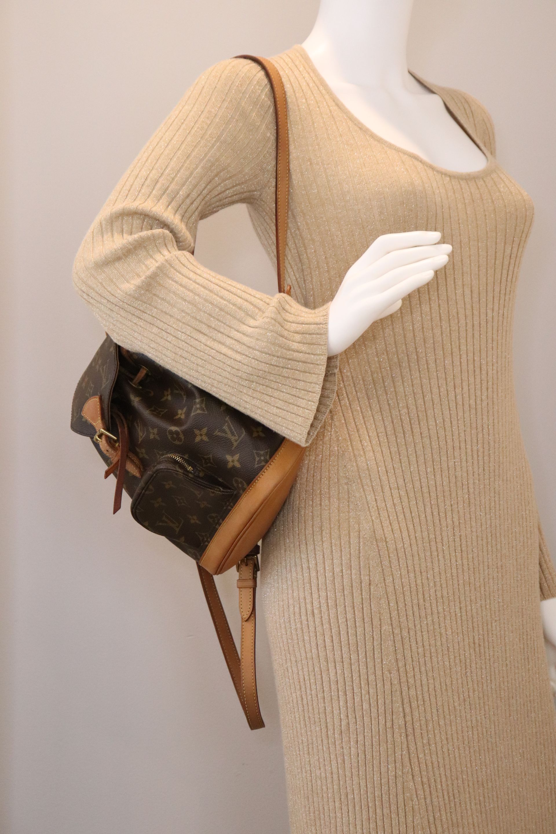 Louis Vuitton Monogram Mini Montsouris Backpack PM