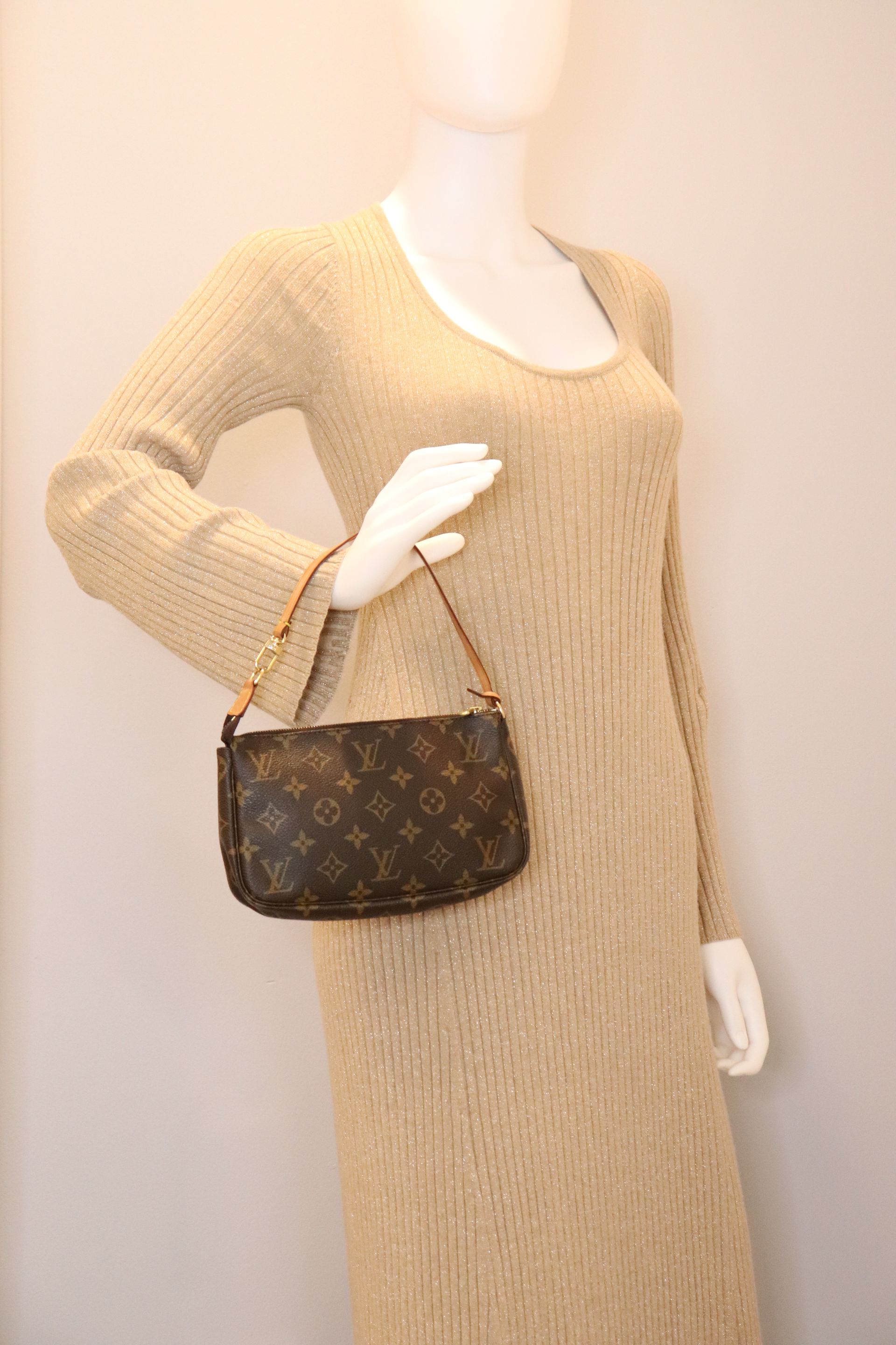 Louis Vuitton Monogram Pochette Accessories