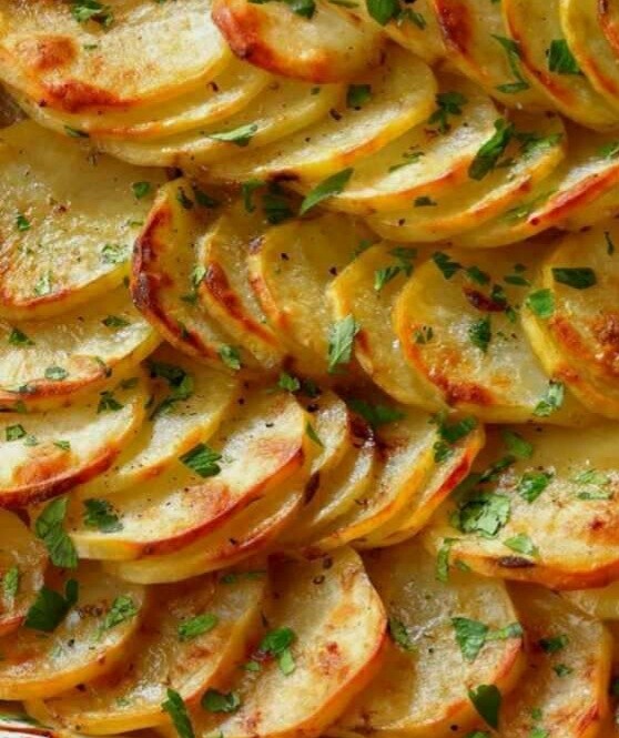 Side Dish: Scallop Potatoes Full Pan (Serves