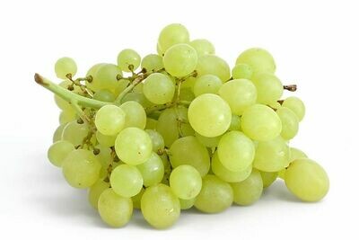 Witte Druiven (pitloos)