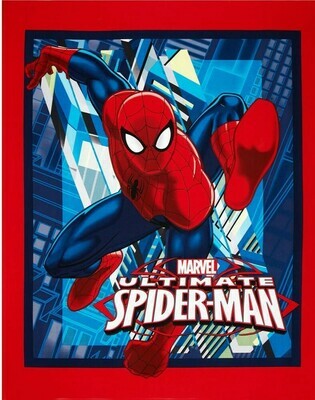 Ultimate Spiderman (Panel)