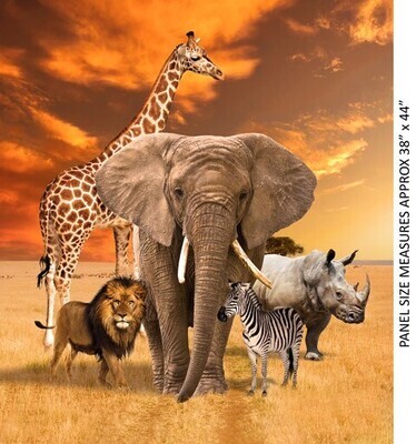 African Safari - The Big 5 - Panel