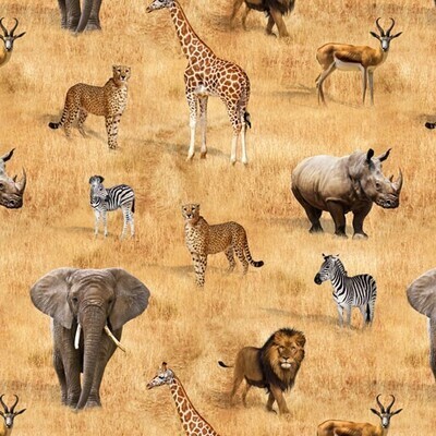 African Safari - Safari Animal