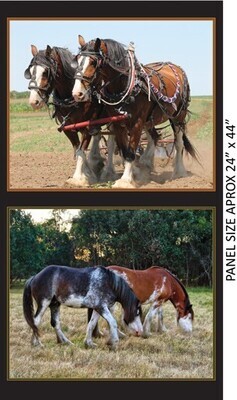 24 Inch Panel - Heavy Horses (1042B)