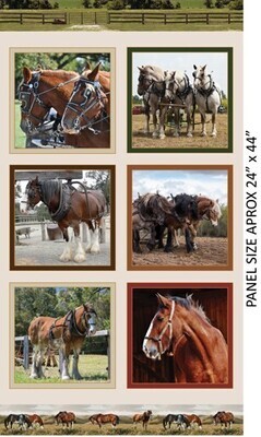 24 Inch Panel Heavy Horses (1042 A)