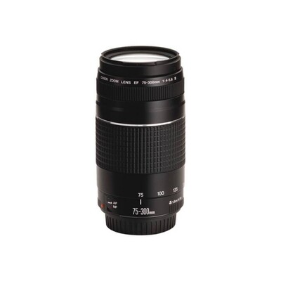 Canon EF 75-300mm 4.0-5.6 III