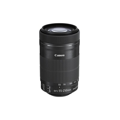 Canon EF-S 55-250mm 4.0-5.6 IS STM