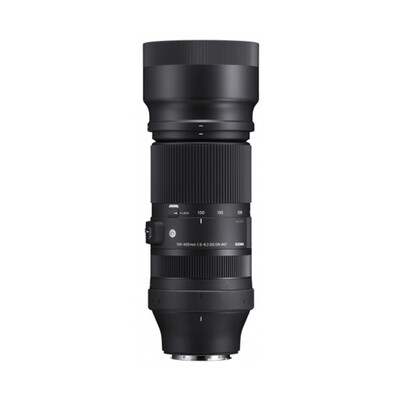 Sigma DG 100-400mm 5-6.3 OS APO C zu Nikon