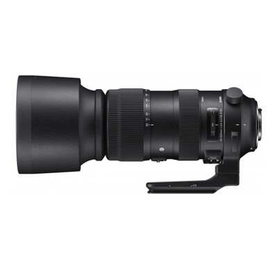 Sigma DG 60-600mm 4.5-6.3 OS HSM Sport zu Canon