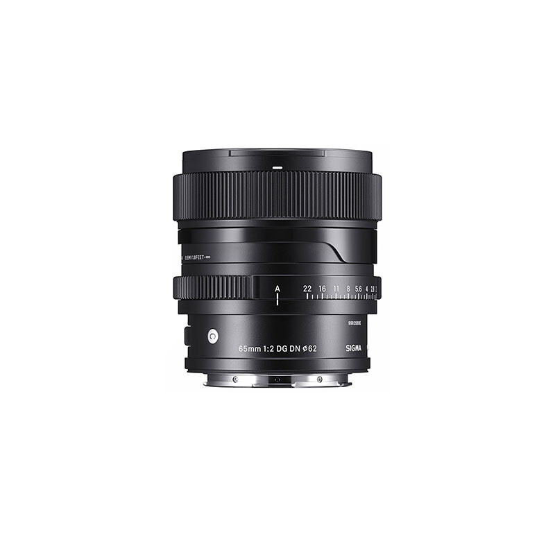 Sigma DG 65mm 2.0 DN C zu Sony E