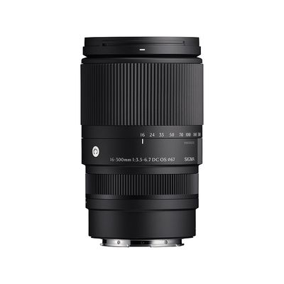 Sigma DC 16-300mm 3.5-6.7 OS C zu Sony E